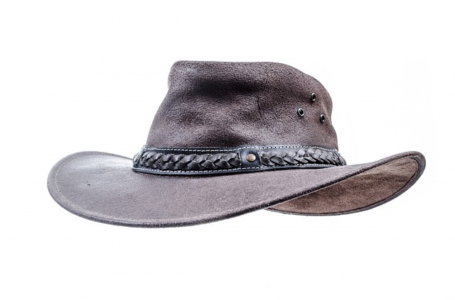 Abrumador Extremistas colección Leather Cowboy Hat – Electrodoméstics Bonjoch